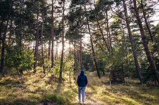 Jakie warunki trzeba spełnić, by móc nocować w lesie?