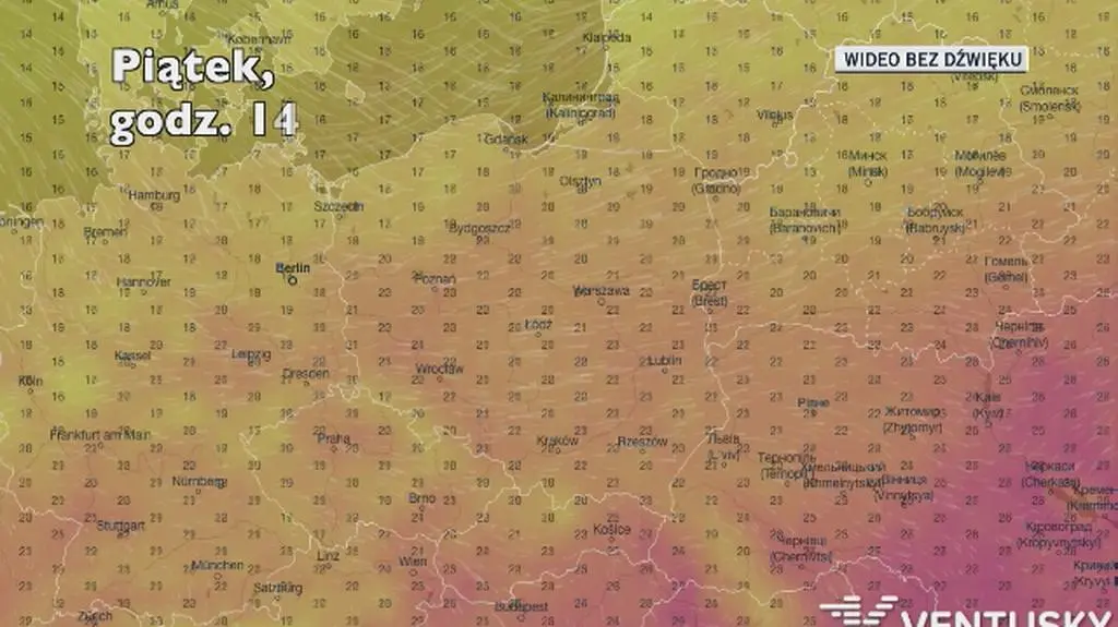 Temperatura w kolejnych dniach (Ventusky