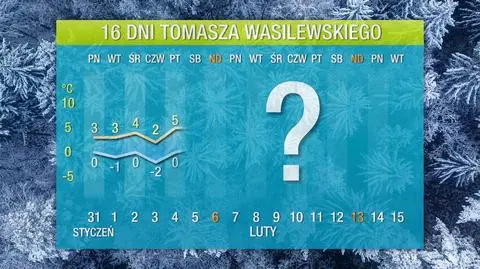 Pogoda na 16 dni: lekka zima tylko na początku lutego