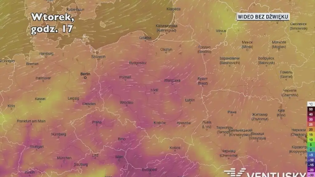 Temperatura w ciągu najbliższych pięciu dni (Ventusky