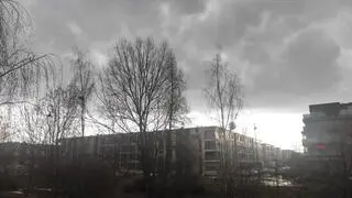 Sobotnia burza na Wilanowie