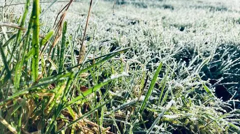 Nocą zmierzymy się z chłodem. W sobotę miejscami deszczowo