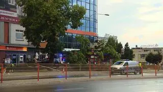 Drzewo upadło na przystanek