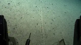 Dziury znalezione na dnie Oceanu Atlantyckiego pod koniec lipca 2022 r.