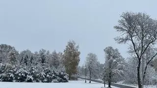 Okolice Cegłowa, mazowieckie (18.11.2023)