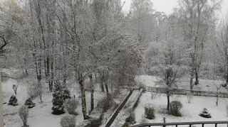 zima