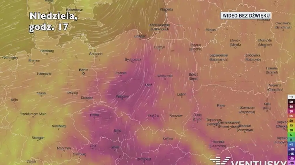 Temperatura w kolejnych dniach (Ventusky