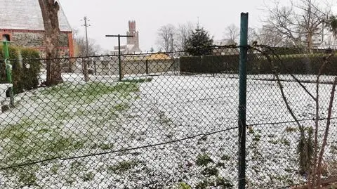 Krupa śnieżna