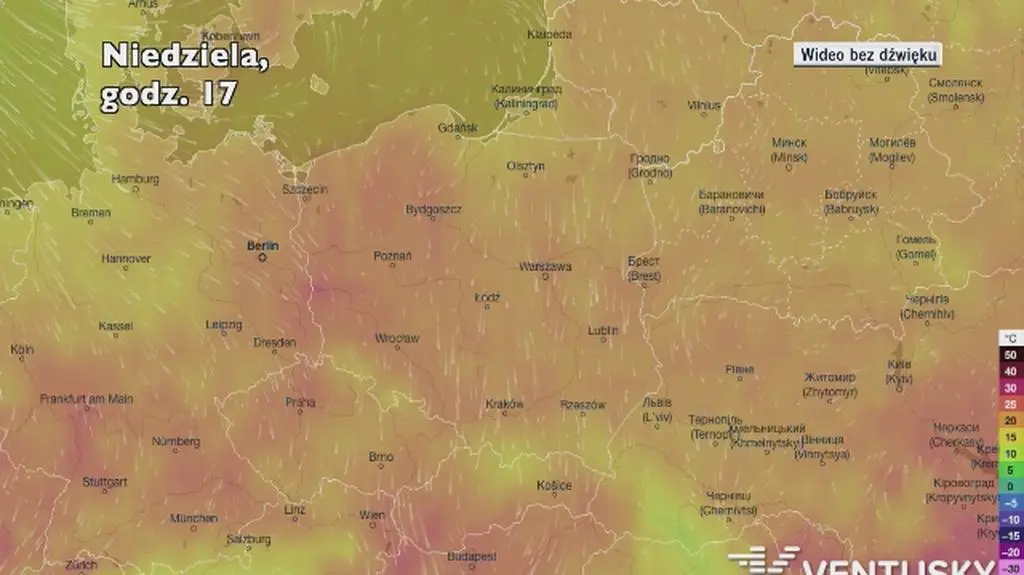 Prognozowana temperatura w następnych dniach (Ventusky