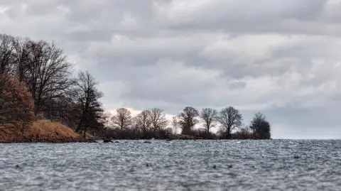 Czwartek pod znakiem silnego wiatru. Do 12 stopni Celsjusza