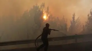 "Podwórko zapełniło się ludźmi. Panował kompletny chaos"