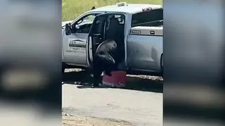 Niedźwiedź wchodzi do auta