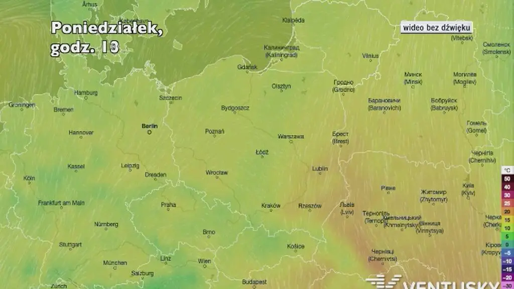 Prognozowana temperatura w najbliższych dniach 