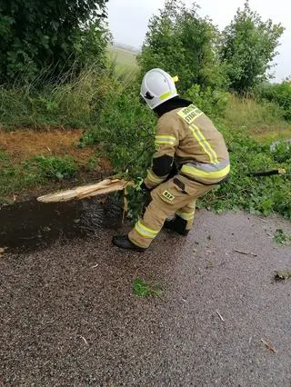 Strażacy usuwali powalone drzewa