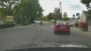 Łabędzie na przejściu 3 lata temu