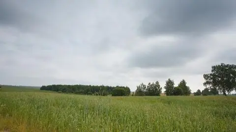 Pochmurny dzień wiosna