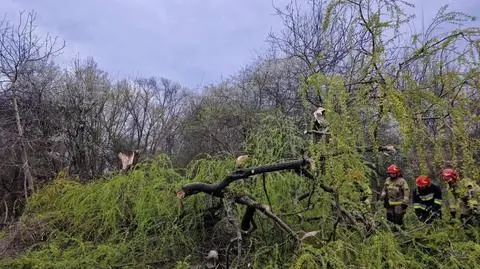 Putin i Zełenski po ataku w Moskwie, Słowacy wybierali, burze nad Polską 