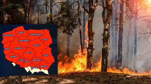 "Zagrożenie pożarowe wzrasta drastycznie". Przez brak opadów