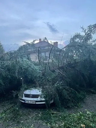 Zniszczenia w powiecie dąbrowskim