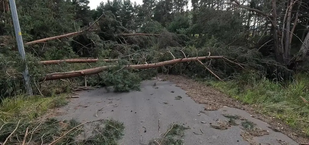 Drzewa połamane jak zapałki. Nagrania