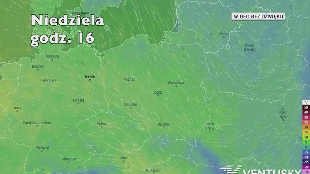 Prognozowana temperatura w najbliższych dniach (Ventusky