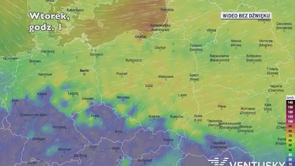 Prognozowane porywy wiatru w ciągu najbliższych dni (Ventusky