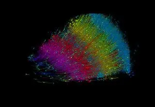 Mapa sześciu warstw neuronów w wycinku ludzkiego mózgu. Każdy poziom oznaczony jest innym kolorem