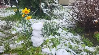 Śnieg w Bieruniu (woj. śląskie)