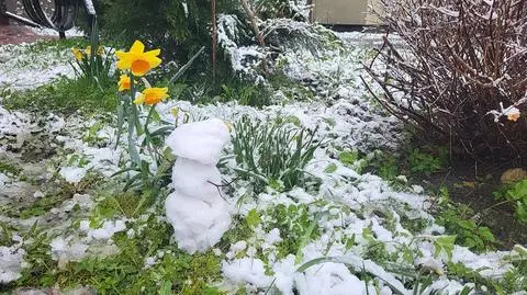 Śnieg spadł na Górnym Śląsku. Dało się ulepić bałwanka
