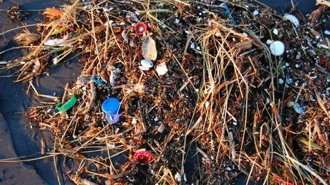 Wzrasta ilość śmieci w oceanach