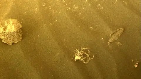 Coś, co przypomina nitkę makaronu spaghetti, zauważono na Marsie