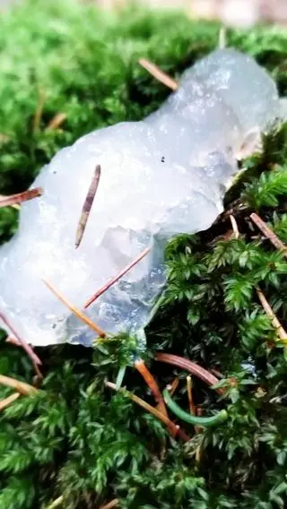 Galaretki z kosmosu w Karpaczu