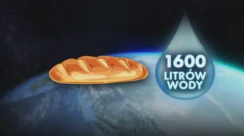 Marnowanie żywności a zmiany klimatu. Obalamy mity