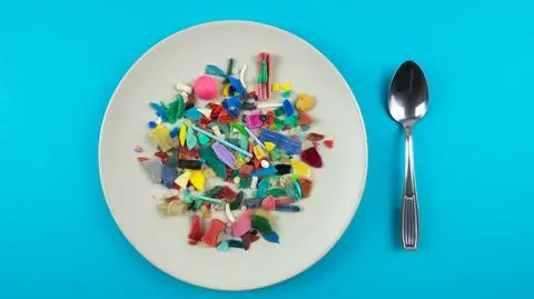 Mikroplastik w pożywieniu