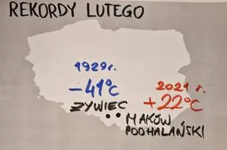 Termiczne rekordy lutego
