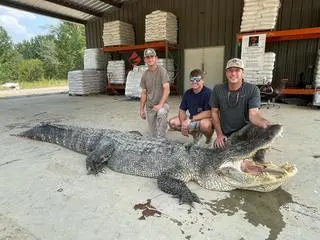 Rekordowo długi aligator złowiony w Misissipi 26 sierpnia