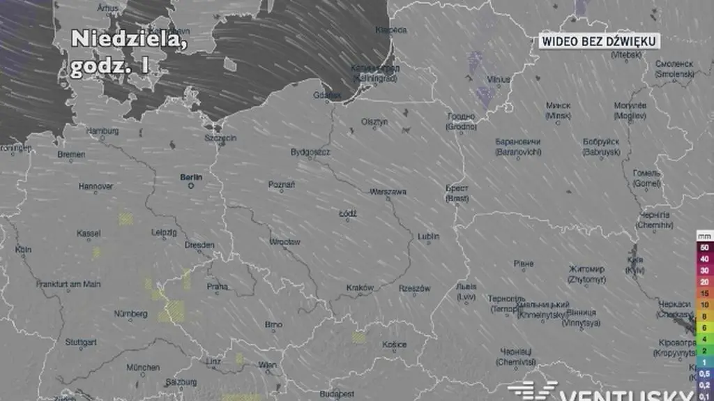 Prognozowane opady w ciągu najbliższych dni (Ventusky
