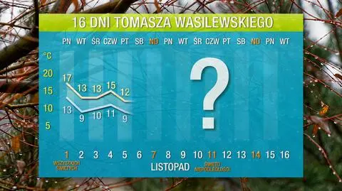 Wasyl-16