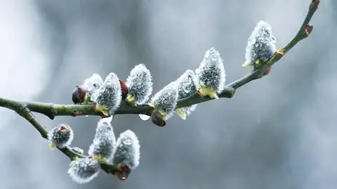 Środa pod znakiem chmur i deszczu