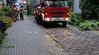 Powrót wichury Opole