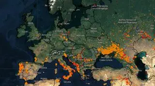 Mapa aktywnych i opanowanych pożarów z dni 28.07-04.08