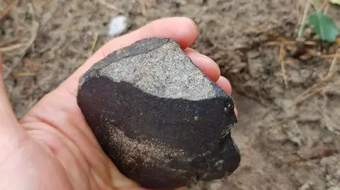 Meteoryt spod Antonina tuż po znalezieniu