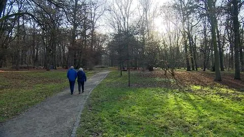 Prognoza pogody na dziś: "gorąco" w Nowy Rok