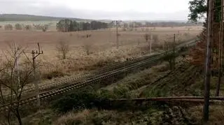 Zerwana linia energetyczna zawisła na sieci trakcyjnej w gminie Chojna (Zachodniopomorskie)
