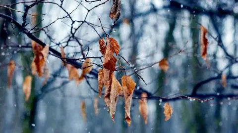 Środa pod znakiem chmur, miejscami poprószy śnieg