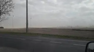 Zamieć piaskowa na kujawach