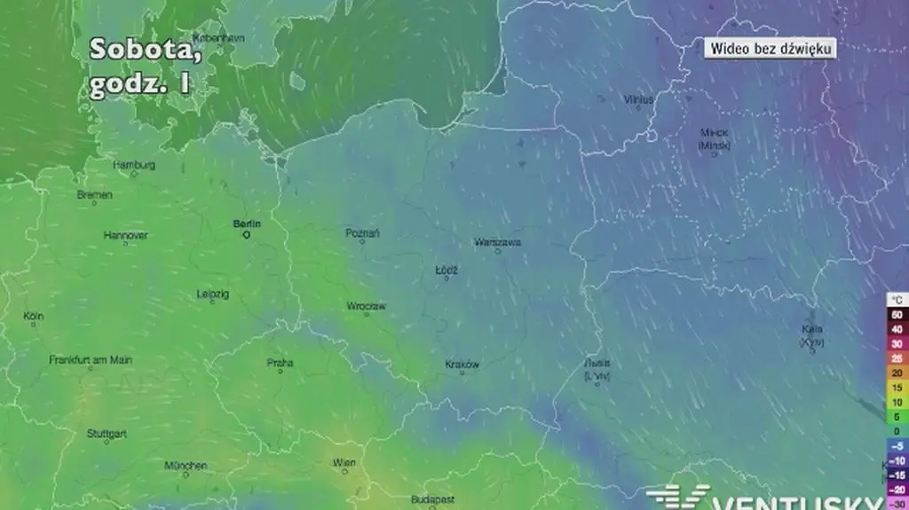 Temperatura w ciągu najbliższych pięciu dniu (Ventusky