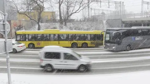 Spadający konar ranił kobietę na Śląsku