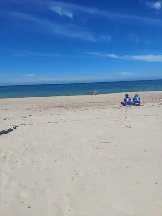 Mors na plaży koło Łazów