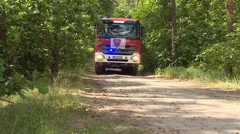 zielona gora2